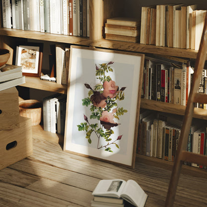 A framed botanical art print featuring pink and burgundy roses with green leaves, leaning against a wooden bookshelf in a cozy, sunlit room with books and a wooden ladder.