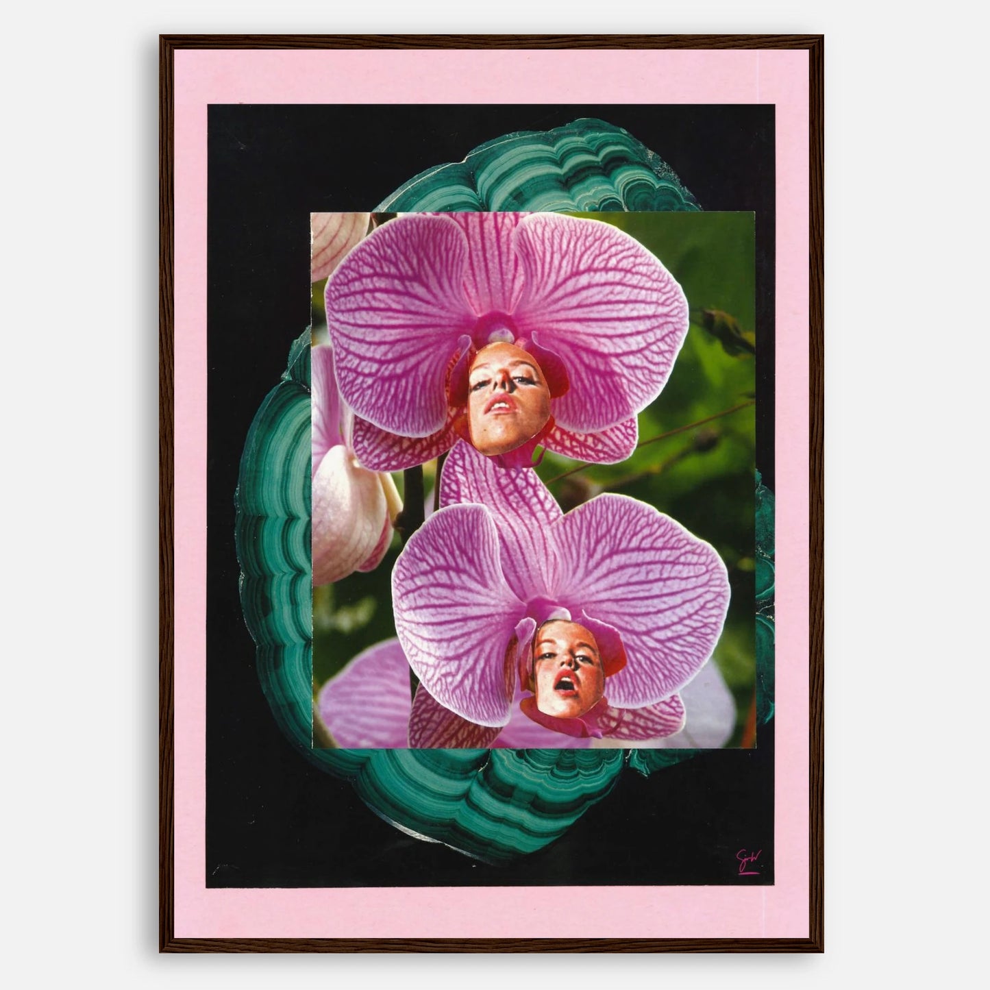 5b07997d-19e2-40fa-bf07-cc89d8b97142