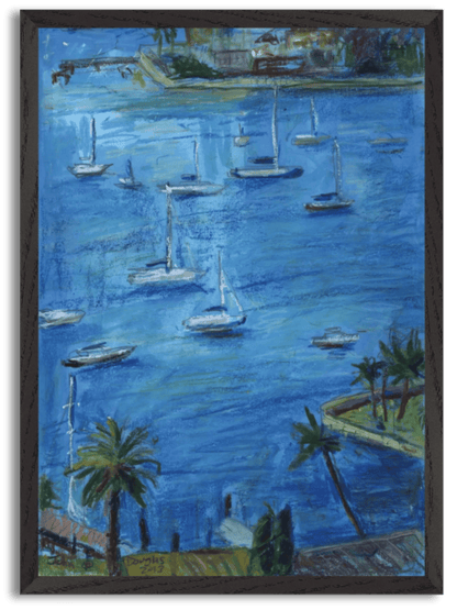 Elizabeth Bay by John Douglas