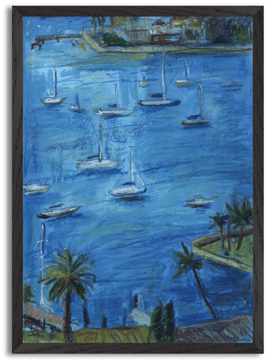 Elizabeth Bay by John Douglas