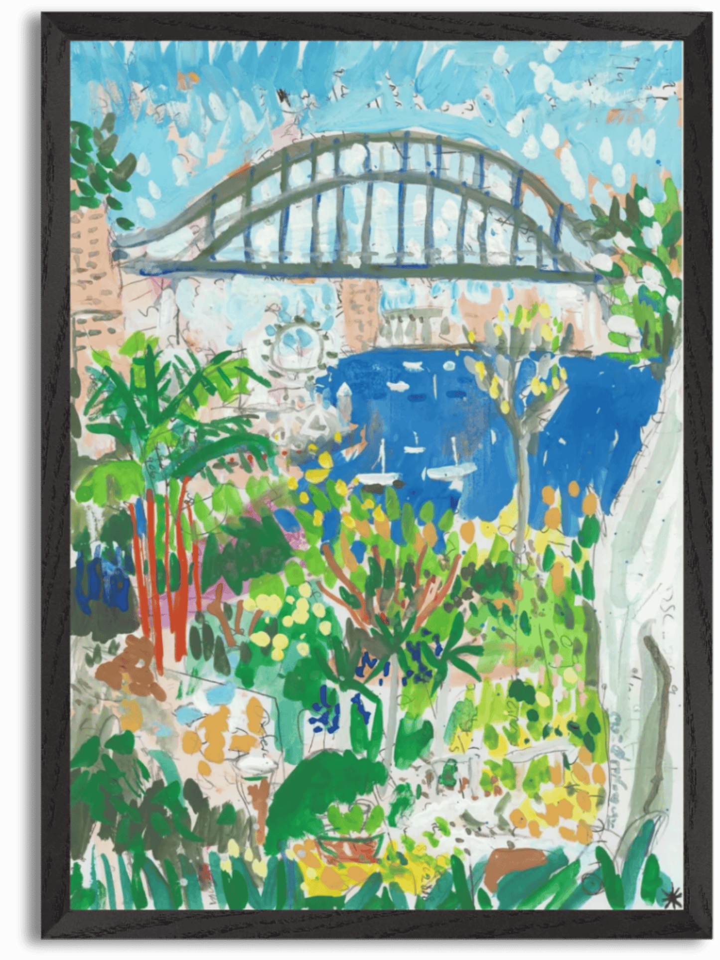 Lavender Bay by John Douglas