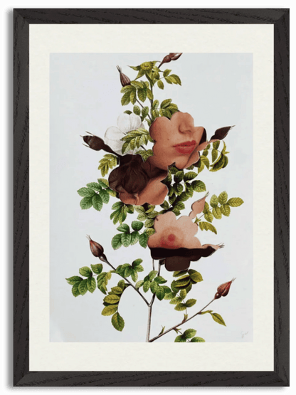Rosebud (2022) by Simon Welsh