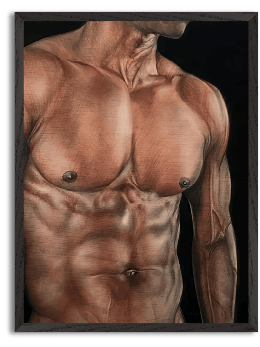TORSO (2024) by Javier Trelis