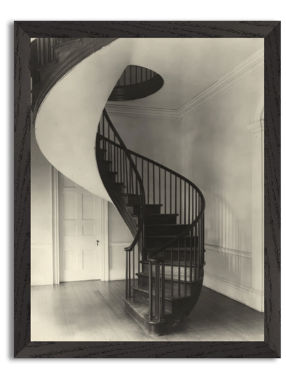 The Antebellum Mansion, Auburn, Natchez (1938) by Frances Benjamin Johnston
