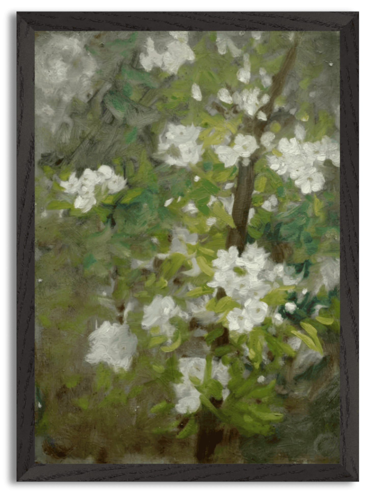 White Blossom (19th-early 20th century) by Henry Scott Tuke