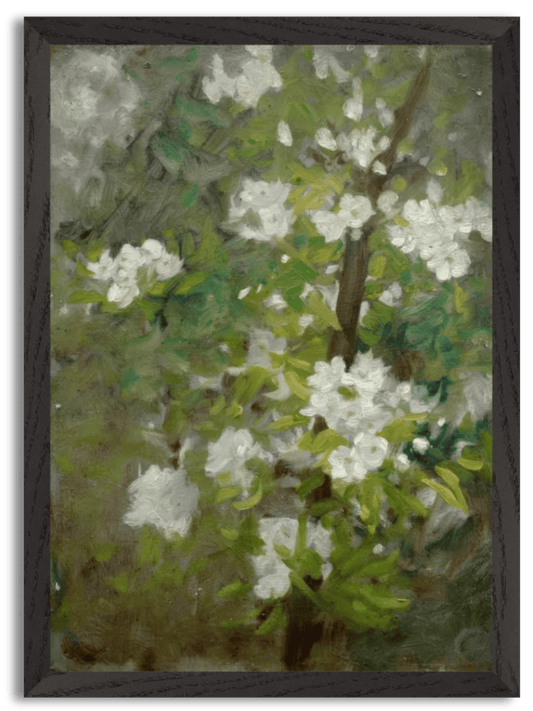 White Blossom (19th-early 20th century) by Henry Scott Tuke