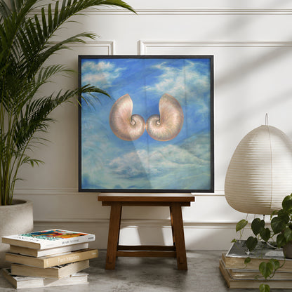 Skyshells by Matthew Stradling