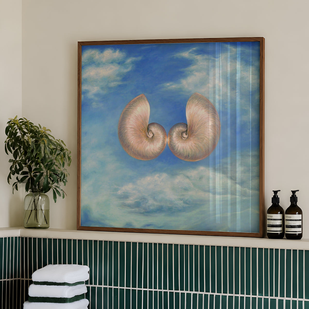 Skyshells by Matthew Stradling