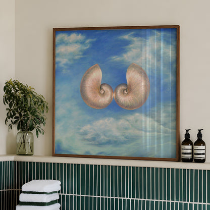Skyshells by Matthew Stradling