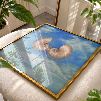 Skyshells by Matthew Stradling