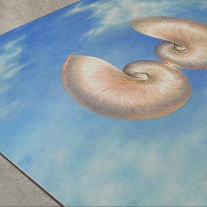 A large square canvas print featuring a surreal painting of two nautilus shells floating in a blue sky with soft white clouds, displayed on a concrete floor.